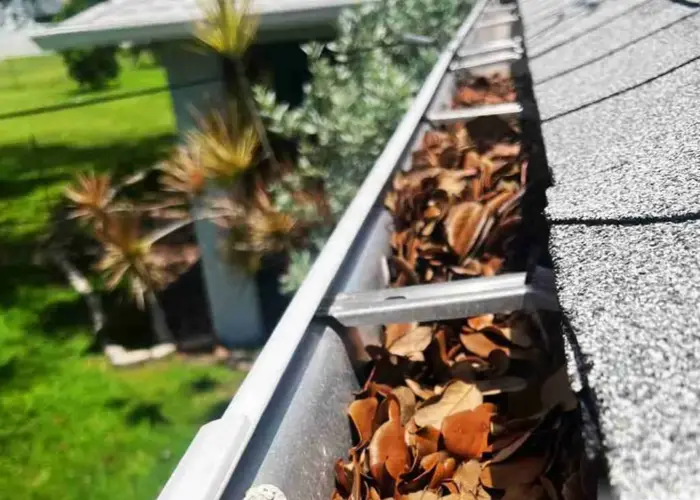 Eagle Mountain gutter cleaning home page